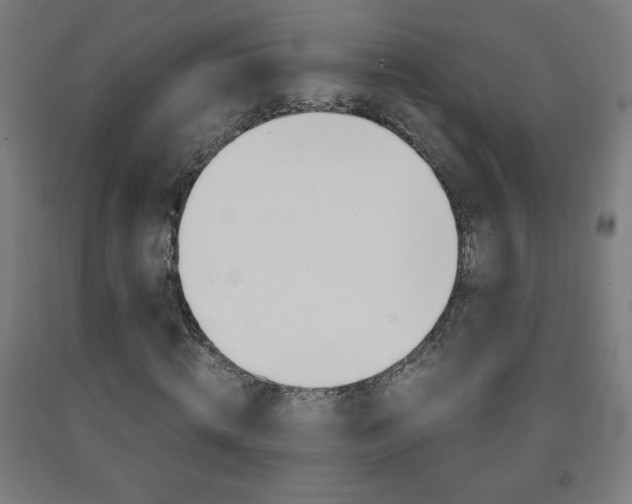 X0000093230820200709261507
