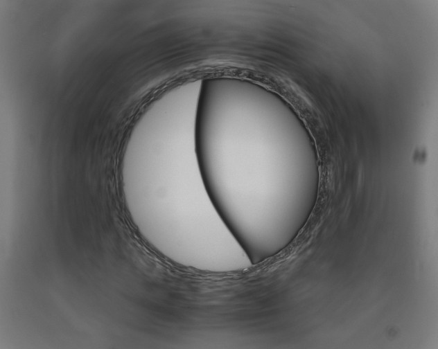 X0000093230821200709261507