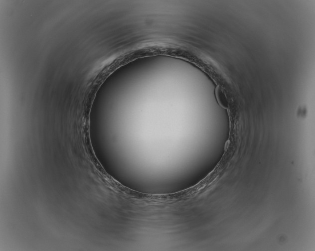 X0000093230822200709261507