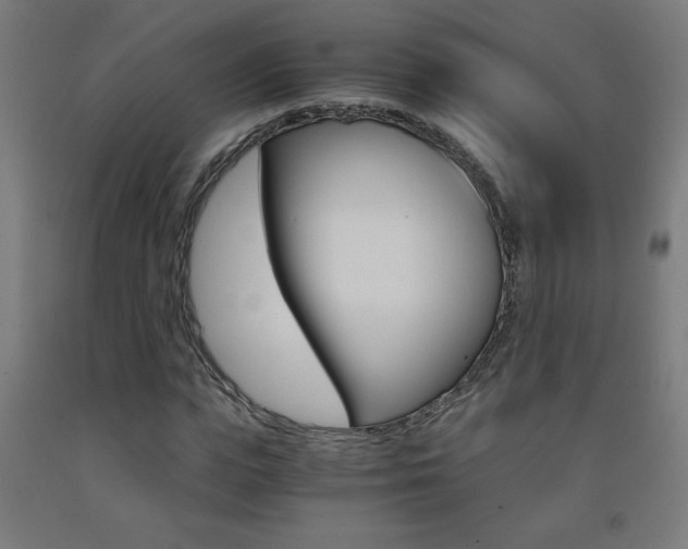 X0000093230823200709261507