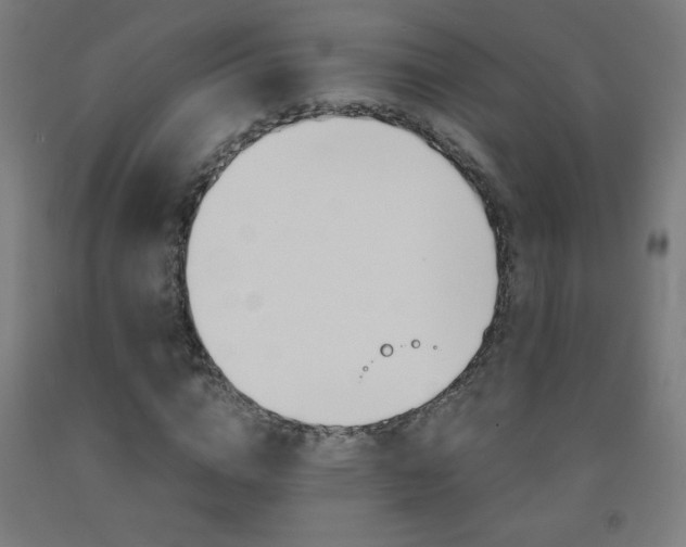 X0000093230824200709261507