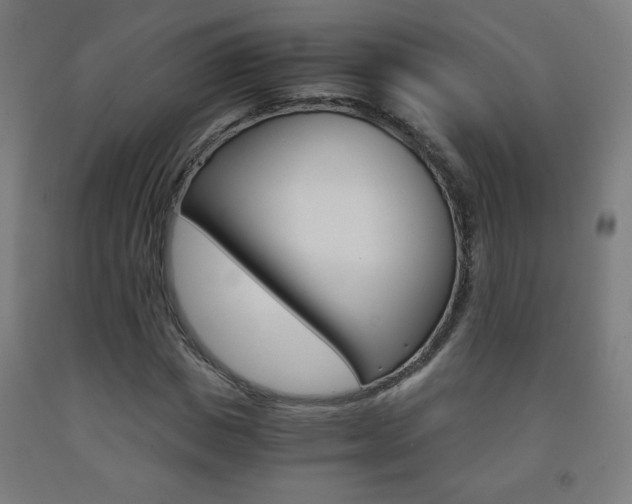 X0000093230825200709261507