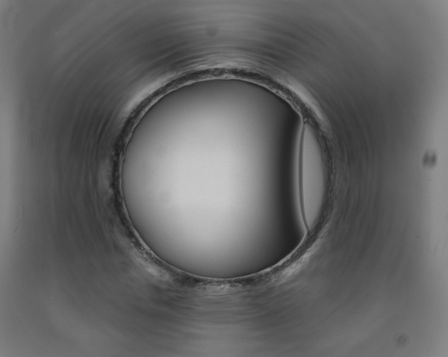 X0000093230826200709261507