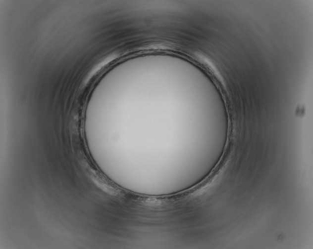 X0000093230827200709261507