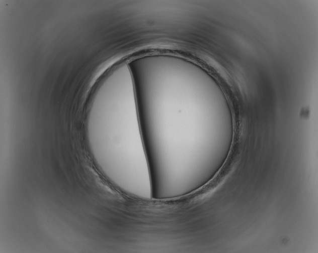 X0000093230829200709261507