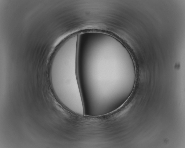 X0000093230830200709261507
