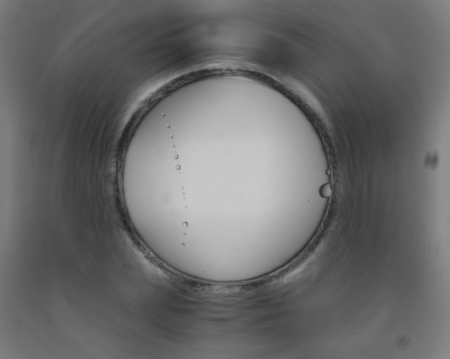 X0000093230831200709261507