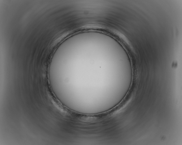 X0000093230833200709261507