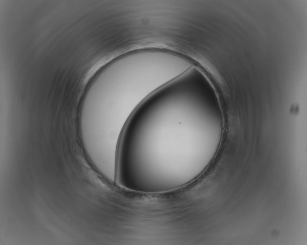 X0000093230834200709261507