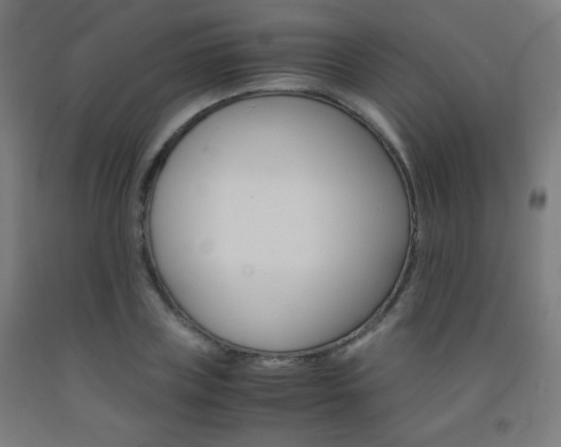 X0000093230835200709261507