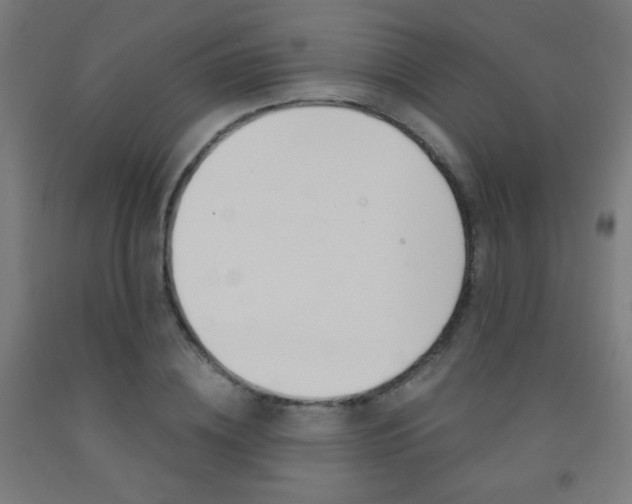 X0000093230836200709261507