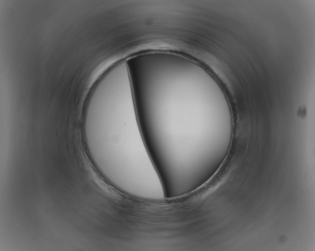X0000093230837200709261507