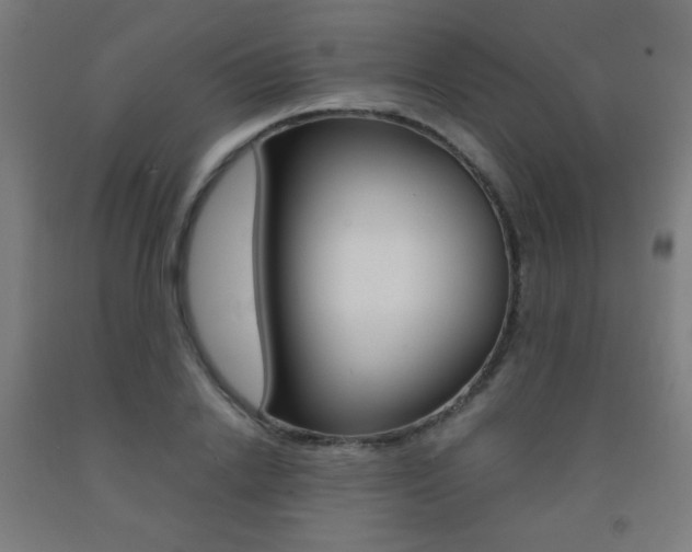 X0000093230838200709261507