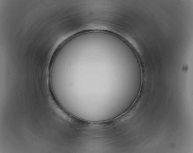 X0000093230840200709261507