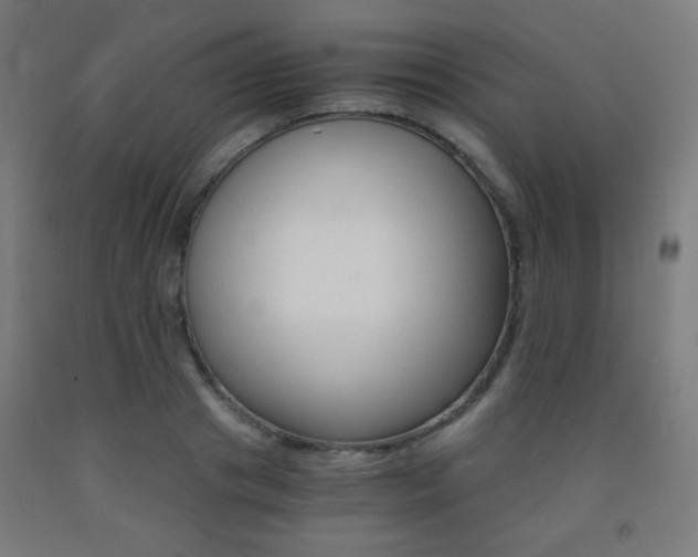 X0000093230841200709261507