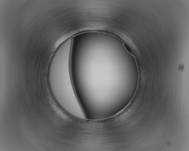 X0000093230842200709261507