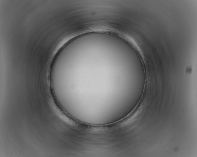 X0000093230843200709261507