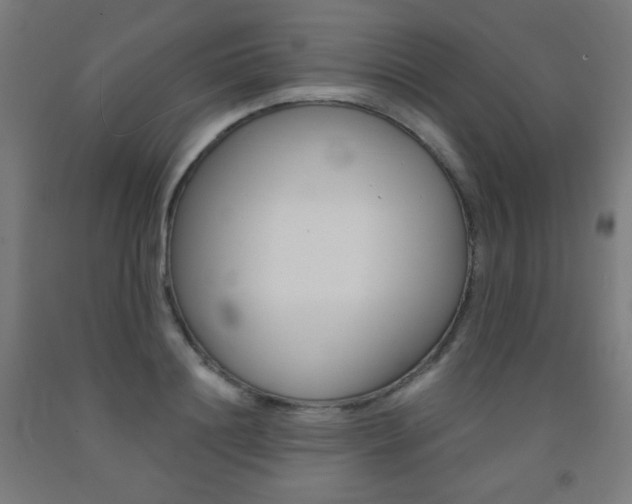 X0000093230844200709261507