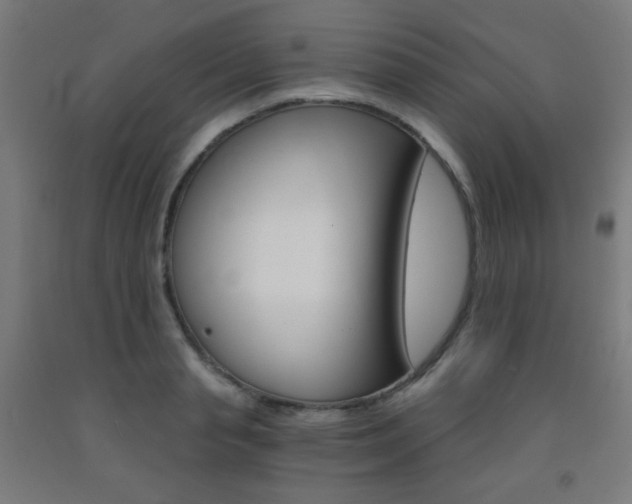 X0000093230845200709261507
