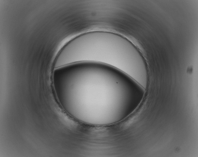 X0000093230846200709261507