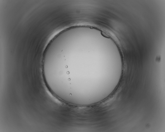 X0000093230847200709261507