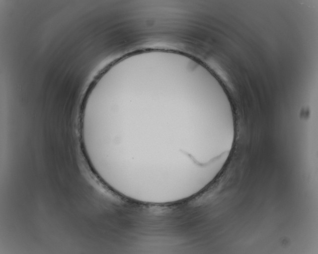 X0000093230848200709261507