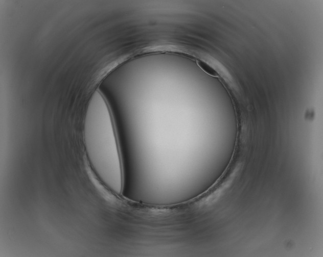 X0000093230849200709261507