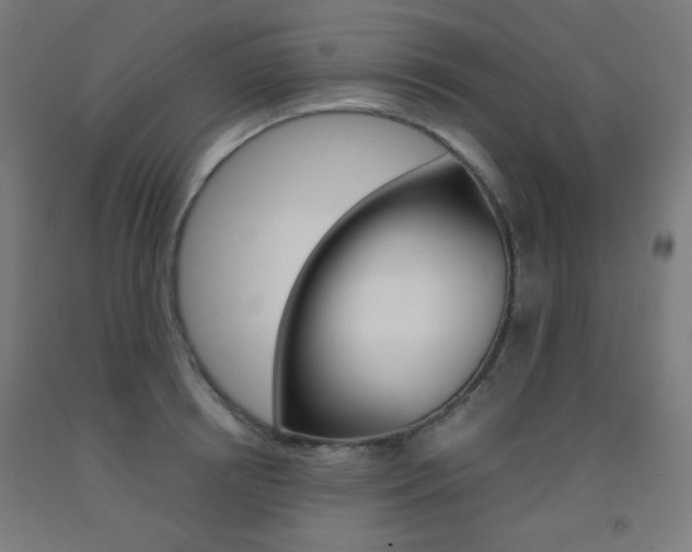 X0000093230850200709261507