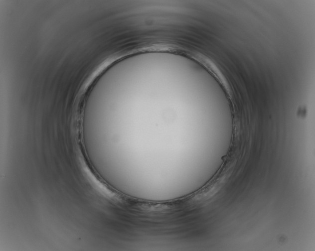 X0000093230851200709261507