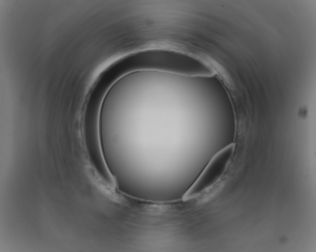 X0000093230854200709261507