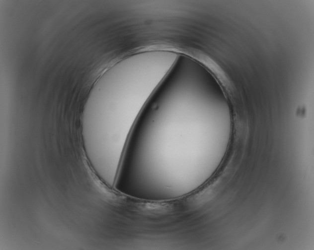 X0000093230857200709261507