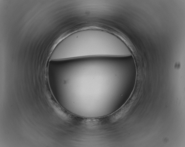 X0000093230858200709261507