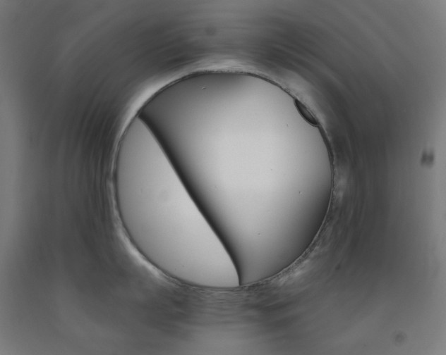 X0000093230863200709261508