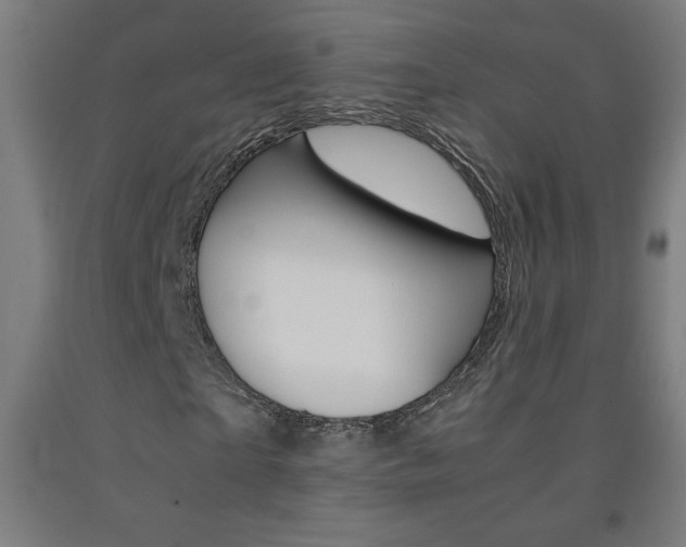 X0000093230865200709261507