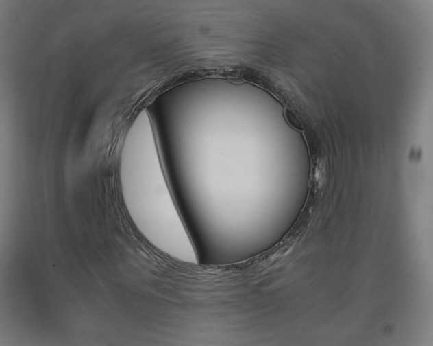 X0000093230867200709261507