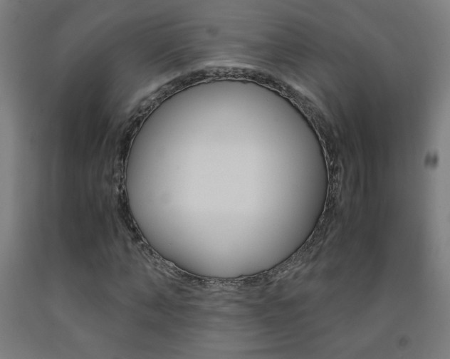 X0000093230870200709261507