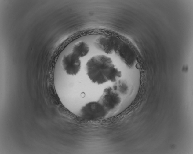 X0000093230871200709261507