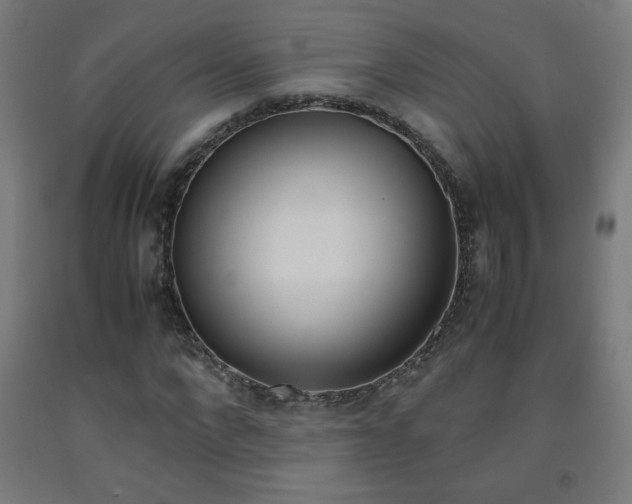 X0000093230872200709261507
