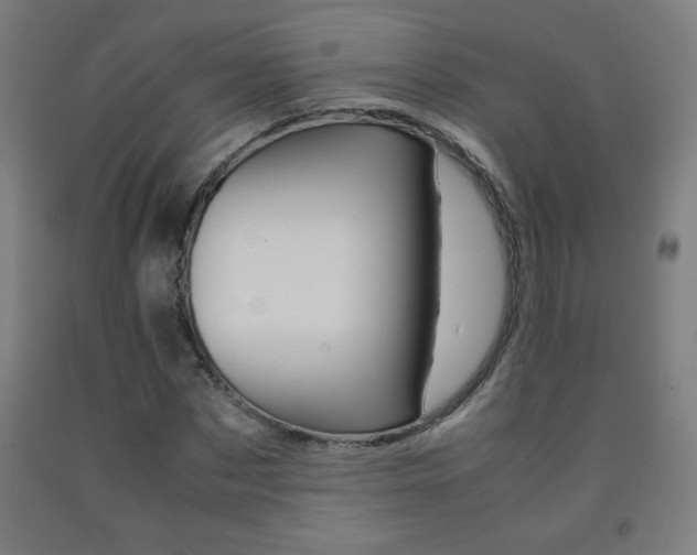 X0000093230873200709261507