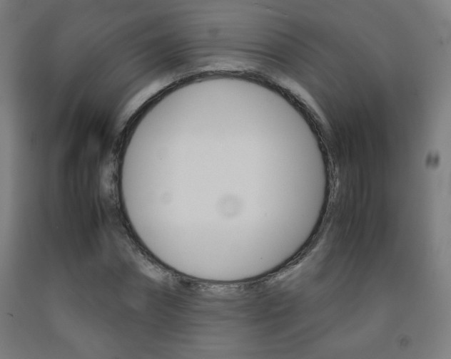X0000093230874200709261507