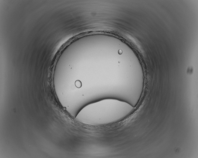 X0000093230875200709261507