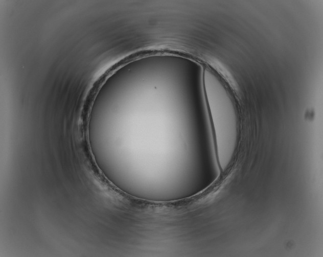 X0000093230876200709261507