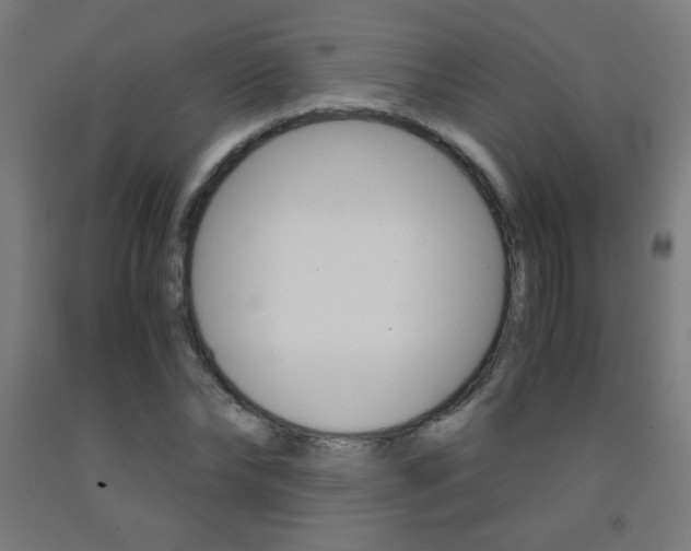 X0000093230878200709261507