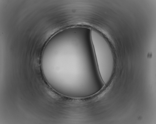 X0000093230881200709261507