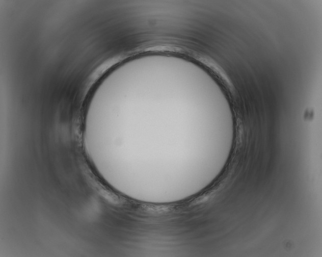 X0000093230882200709261507