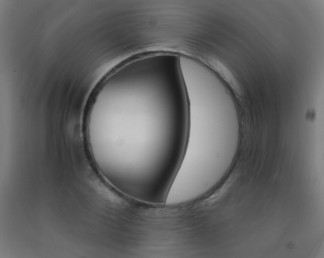 X0000093230884200709261507
