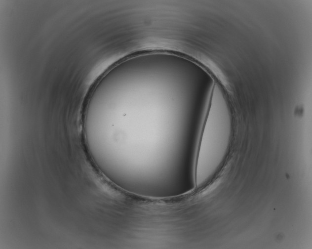 X0000093230885200709261507