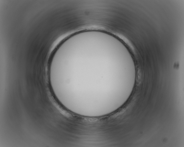 X0000093230886200709261507