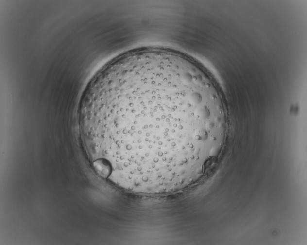 X0000093230887200709261507