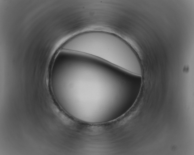 X0000093230888200709261507